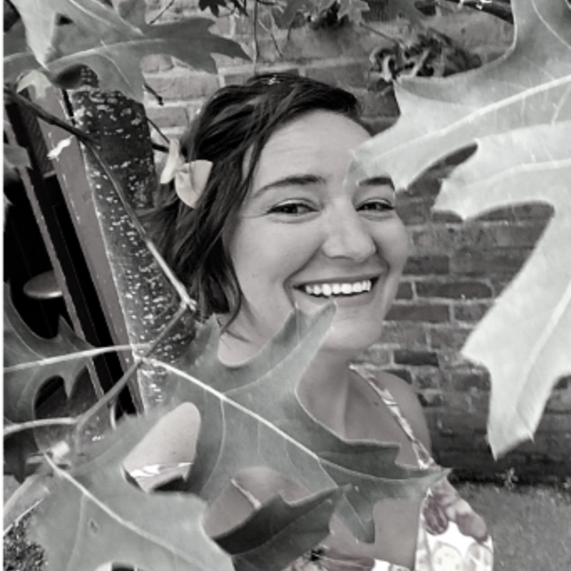 Arizona Academy of the Performing Arts