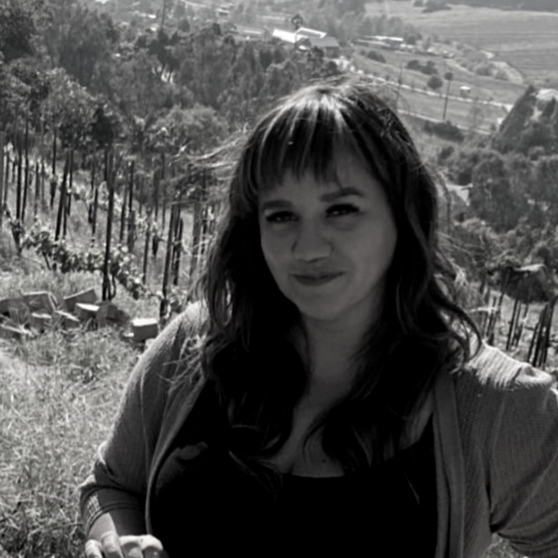 Arizona Academy of the Performing Arts